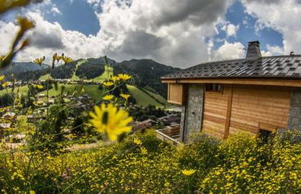 Chalets Chantemerle - Chalet en surplomb du village, idéal pour famille MAE-2541 - Foto 13