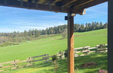 Chalet bois au calme, en lisière de forêt, balcons, sentiers balades Gérardmer & Alsace "Chalet Mon beau sapin" - Foto 68