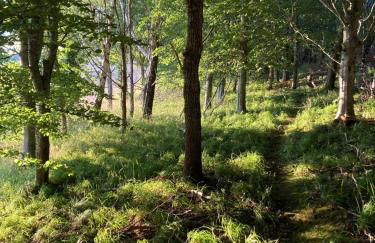 Highland Holiday Home - Foto 32