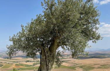 ViLoKa Sicilian Guest House - Foto 15