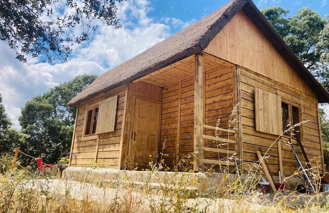 Hamlet's Friends - Foto 47