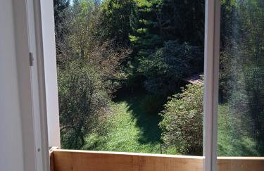 Seoski turizam Stari mlin na Korani apartment 1 - Foto 5