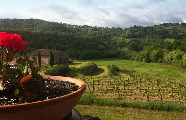 Podere Terreno alla Via della Volpaia - Foto 50