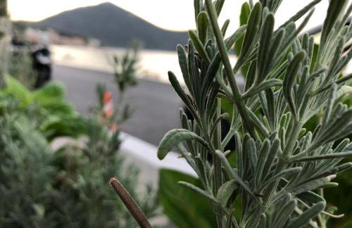 ZEN Minimal Luxury Housing Tyros - Foto 53