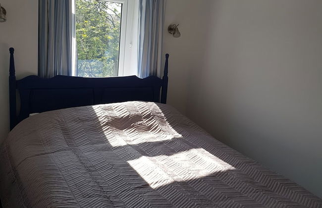 The Old Albion - Foto 2