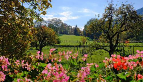 ZumKoch - Foto 3, Garden view