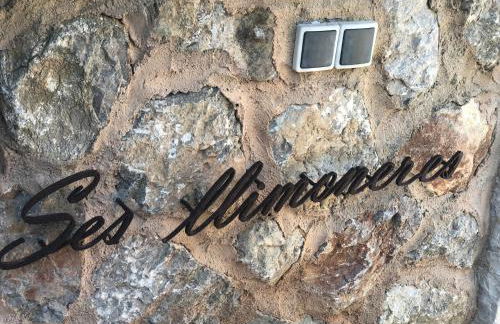 Ses llimoneres - Foto 19