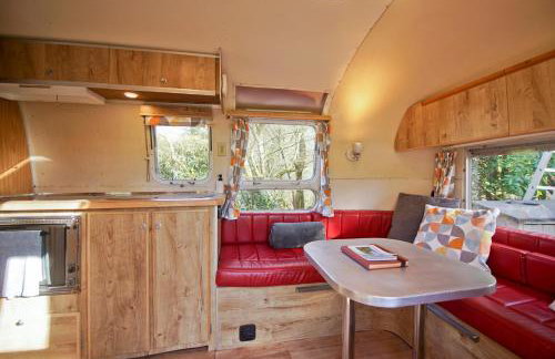 Vintage glamping Airstream with Farm Animals - Foto 5