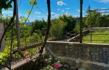 Villa Jolanda - Photo 8