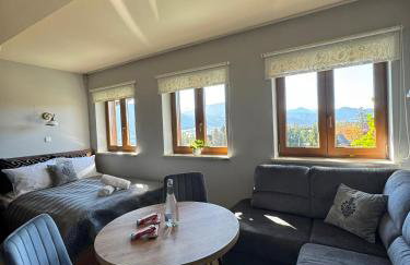 Willa Chrycówka - Jacuzzi, Basen, Sauna - Foto 41