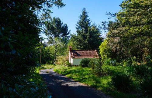 Valle Paraizo - Foto 78