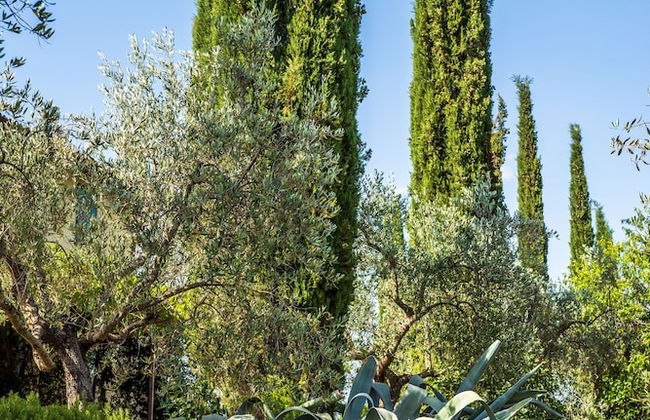 Agriturismo La Fonte - Photo 65