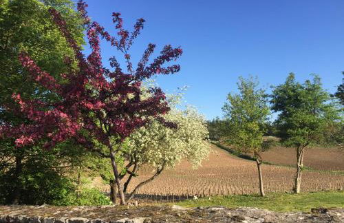 La Maison du Clos du Roi - Foto 53