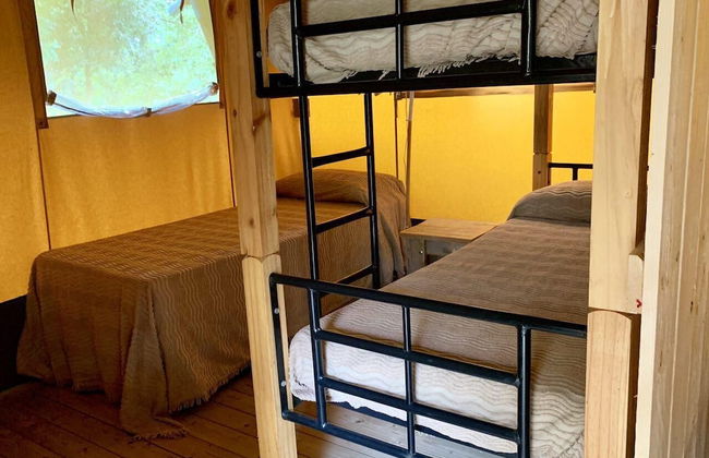 Agriturismo Fattoria La Prugnola - Foto 54