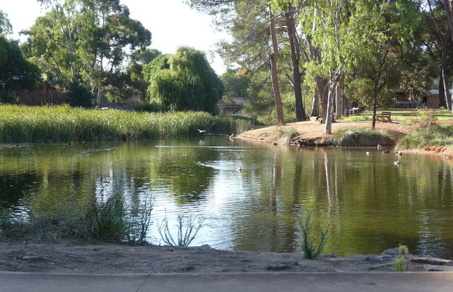 Country Bakehouse Accommodation - Foto 31