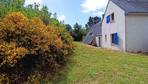 Maison avec grand terrain à 2 pas de la mer - Foto 4