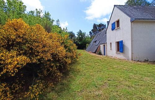 Maison avec grand terrain à 2 pas de la mer - Foto 4