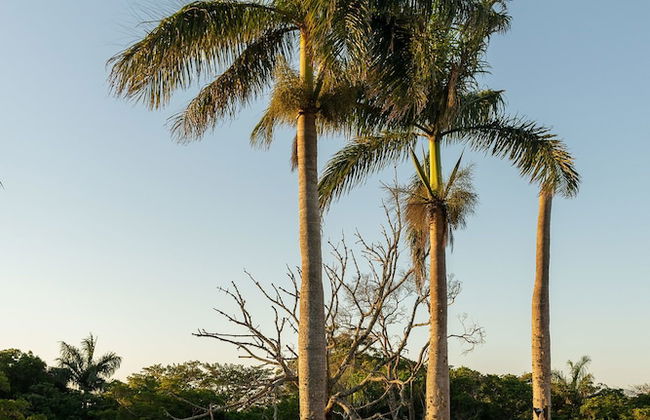 17 Manzini Holiday Resort - Foto 26