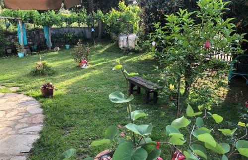 Talos House - Photo 23