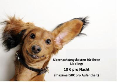 Frisch saniertes Apartment am Falderapark - Foto 4