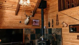 Cozy Sequoia Forest Cabin near Lake Isabella - Foto 5