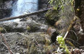 FeWo Alpenfreude mit Hallenbad - Foto 45