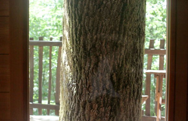 Ô bois dormant - Foto 33