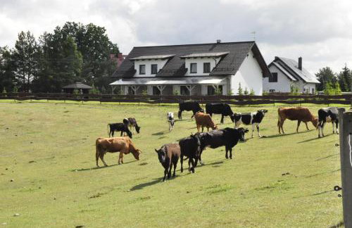 Osada Grzybowski Młyn apartamenty z dużym ogrodem KAISERÓWKA - Foto 32