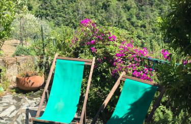 Cottage La Terrazza - Foto 7