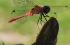 Żurawisko - Domki wśród natury - Foto 37