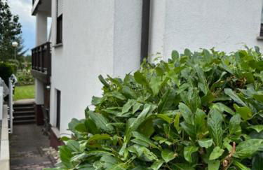 Stadtteil-Apartment - Foto 19