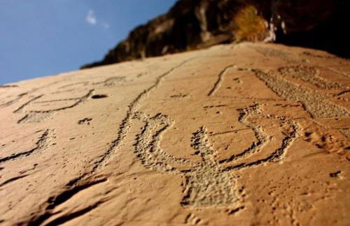 Lou Refugi : Refuge de randonneurs 5* ! - Foto 16