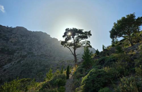 Retreat Villa Olya - Seaside & Spa - Foto 77