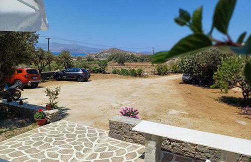 Dina's Diamond - Foto 5