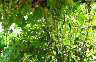 Villa of luxury and serenity - Photo 25