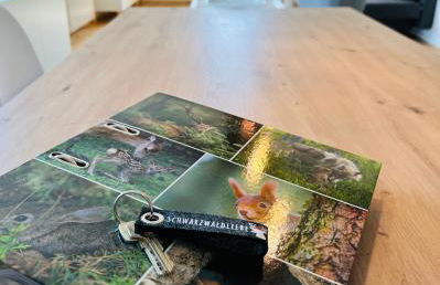 Ferienwohnung Fuchsfelsen, perfekt für Familien mit Kindern - Foto 31