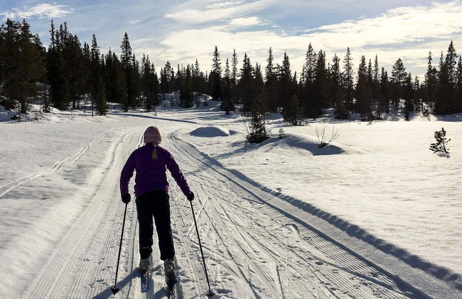 8 Person Holiday Home in Flatdal - Foto 9