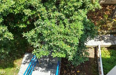 Maisonette Basilissa - Photo 18