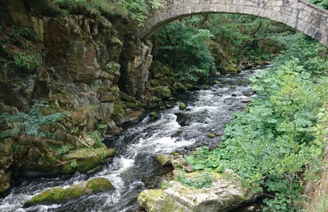 Holiday Home in Hasselfelde - Foto 13