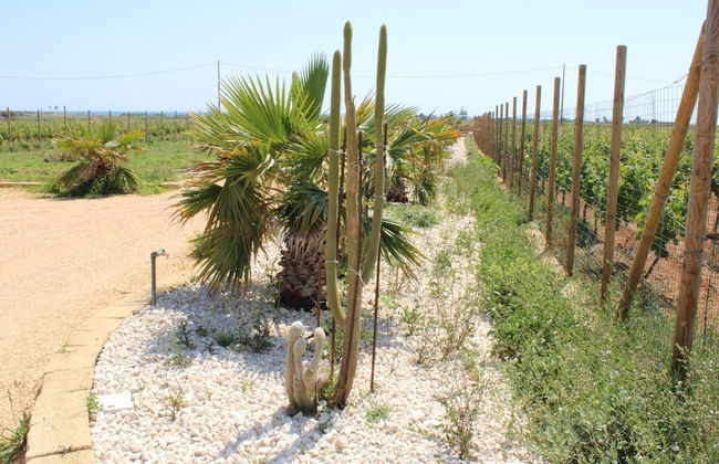 Smiles & Sunsets - Marino's Resort - Foto 62