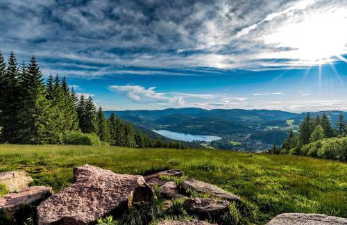 Fredys Paradies in der Dom Stadt St Blasien - Foto 29