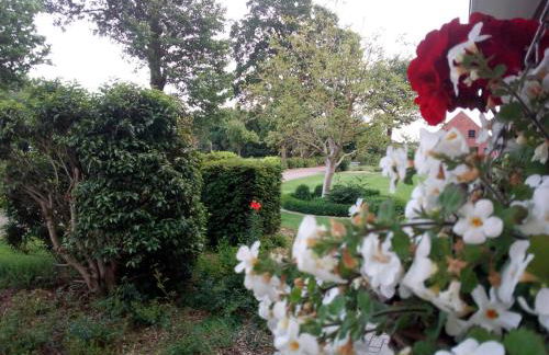 Ferienwohnung Schlingshöhe - Oberwohnung mit separater Terrasse - Foto 32