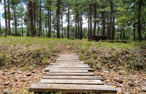 The Lodge Large Cabin, 17 Acres, Playground, Forest Access - Foto 64