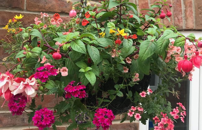 3 Crown Barton - Glastonbury - Foto 30