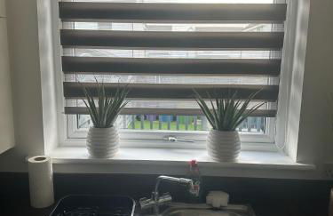 Black Daisy - Foto 68