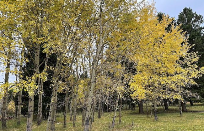 Grassy Mountain Ranch - Foto 19