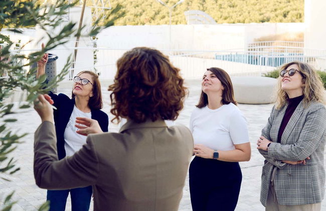 Visita al frantoio Oleícola Jaén con degustazione di olio - Foto 12