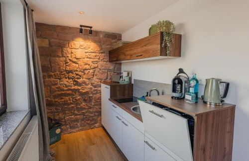 MAINTERRASSE Boardinghouse am Fluss klimatisierte Apartments mit 80qm Terrasse - Foto 29