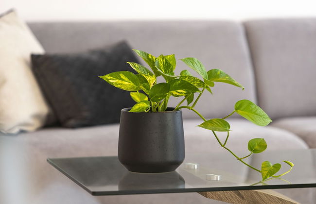 Kanika Seabreeze Apartment - Foto 38