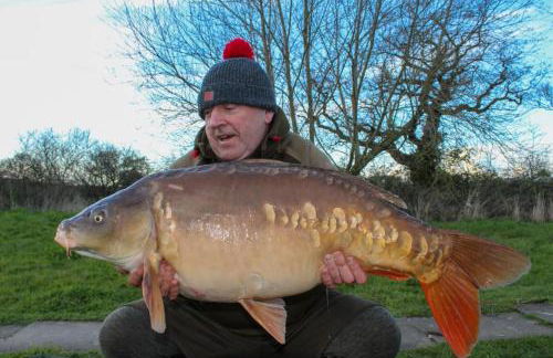 Beech Pod Cabin in Beautiful Surroundings Wrexham - Foto 44